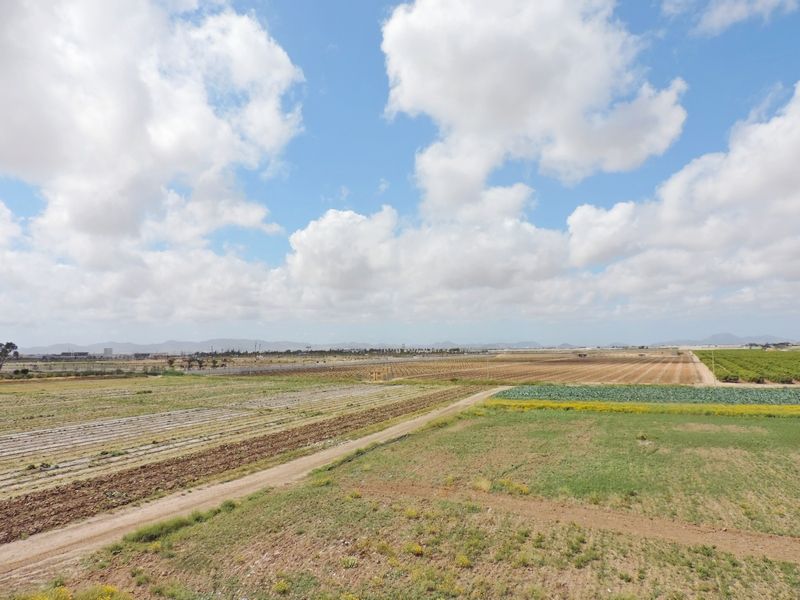 SANTA ROSALÍA VILLAGE Property & Consulting Office